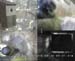 Gr8Tit-2010-05-30-10h49m35s208
