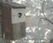 Gr8Tit-2010-05-30-10h51m01s59