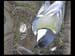 vlcsnap-2010-04-25-18h38m17s173