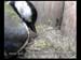 vlcsnap-2010-04-25-18h39m18s206