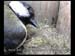 vlcsnap-2010-04-25-18h40m27s142