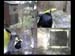 vlcsnap-2010-04-27-22h39m16s223