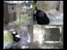 vlcsnap-2010-04-27-22h39m56s189