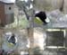 vlcsnap-2010-04-27-22h43m32s31